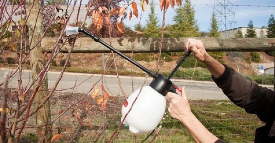 опрыскивание