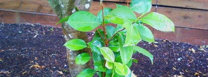 photo_2024-12-29_22-04-06 (2).jpg