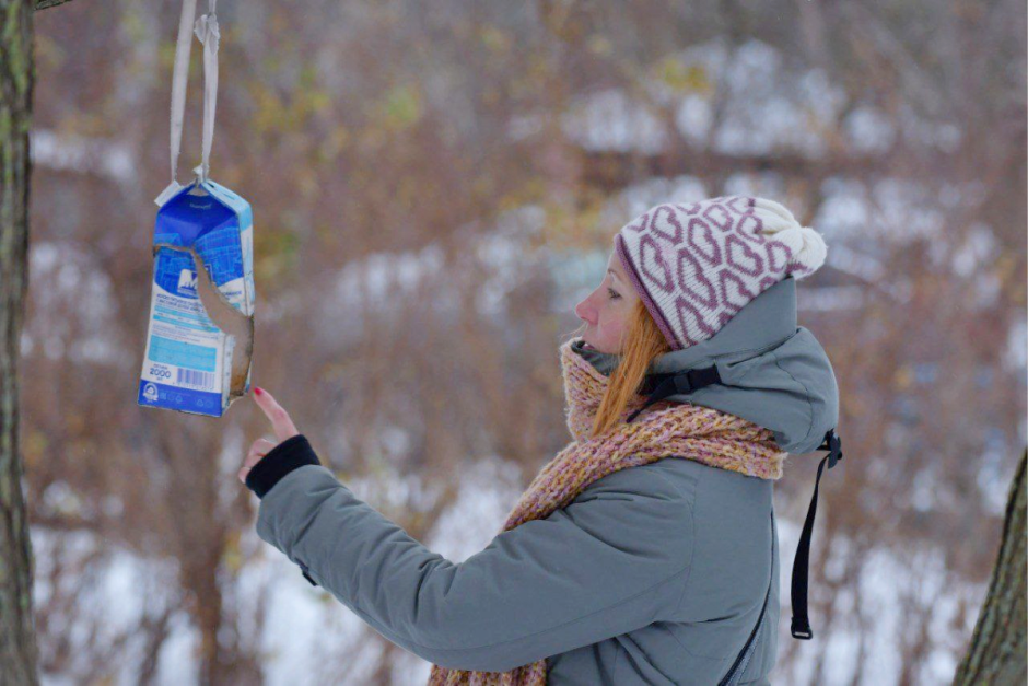 Как правильно подкармливать птиц зимой 7.png