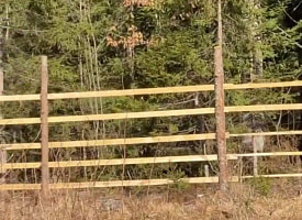 “Зачем деньги потратили?” В Крупском районе объяснили, для чего в лесу поставили забор