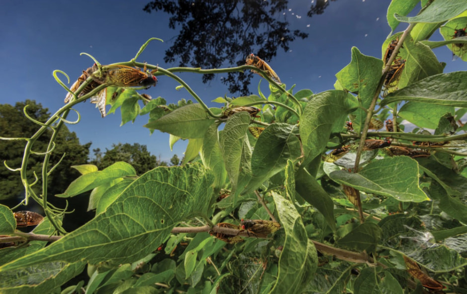 Песня о любви.jpg