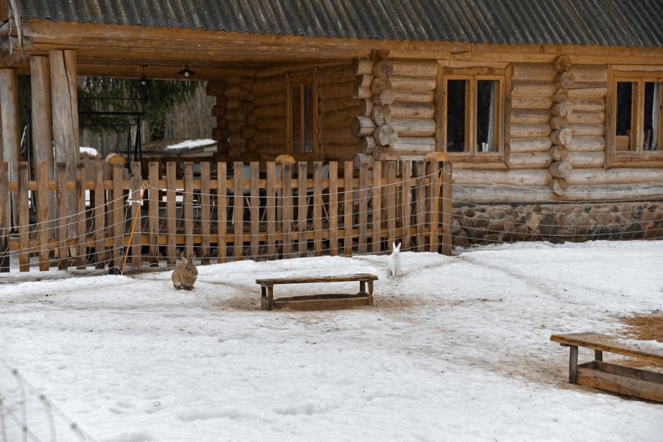 Фермер хутор Ёдишки 24.png