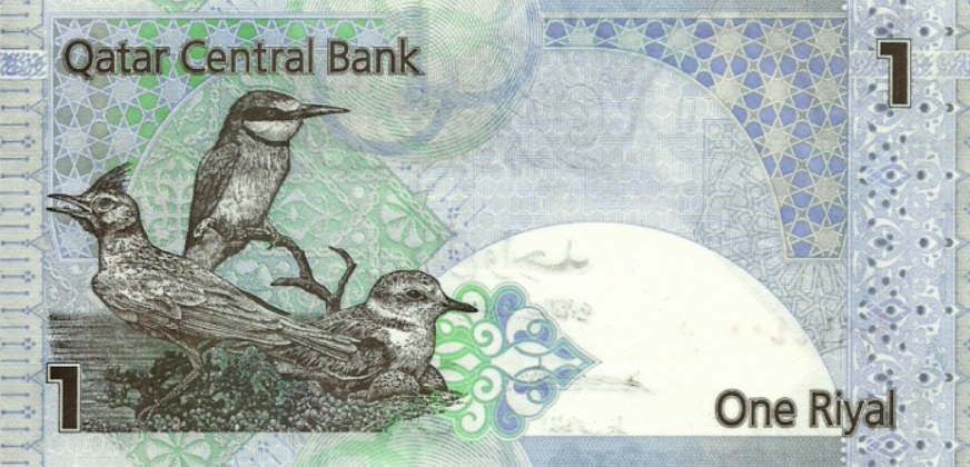 риал катар.png