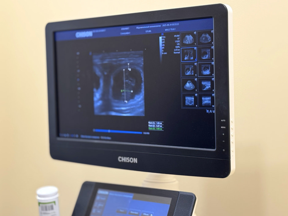 УЗИ питомца