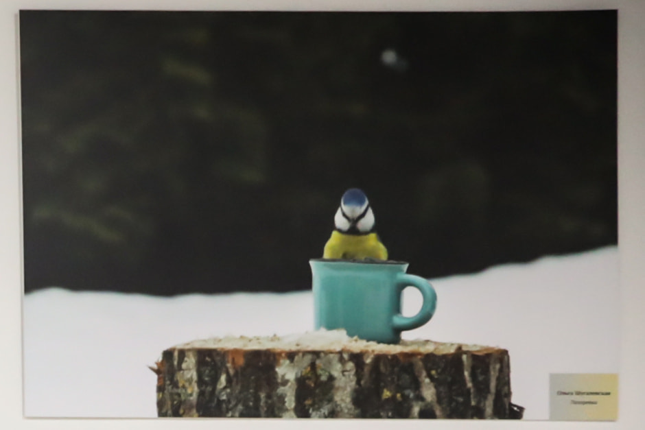 фотовыставка Дикая природа Беларуси 1.jpg