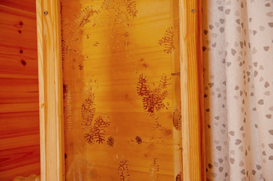 Хутор Замошье 30.jpg