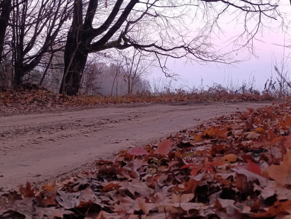 ноябрь утро погода.jpg