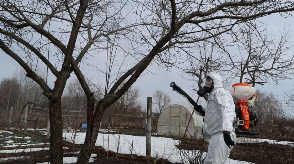 обработка химпрепаратами