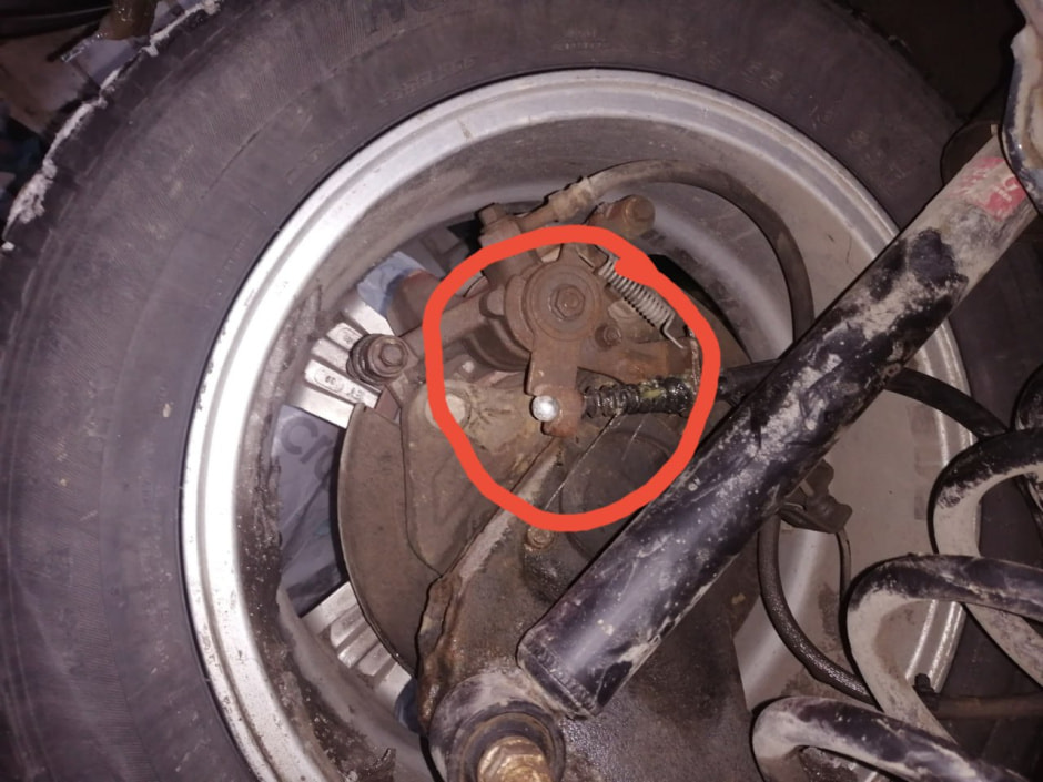 photo_2026-01-25_21-10-42 (2).jpg