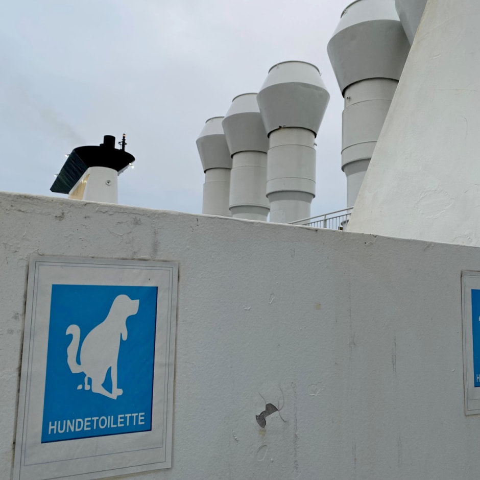 Путешествие с собакой 11.jpg