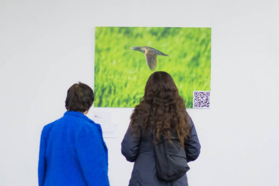 Посетители на выставке птиц 11.jpg