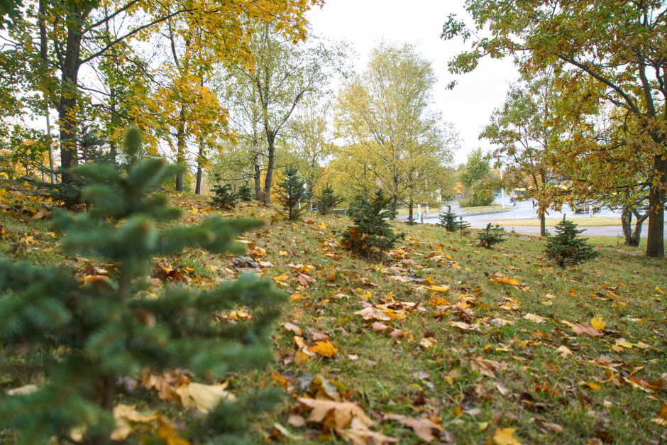 Фото 5.jpg Фото 5.jpg