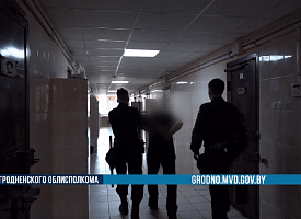 В Гродно из-за мужчины йоркширский терьер упал с 9-го этажа. Собака пыталась защитить хозяйку