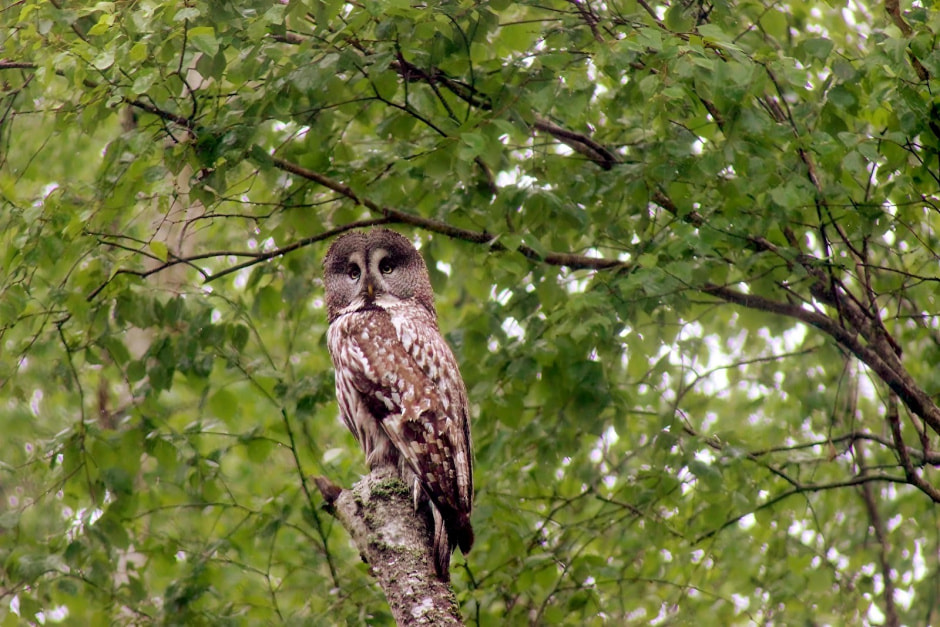 Заказник Выгонощанское 7.jpg