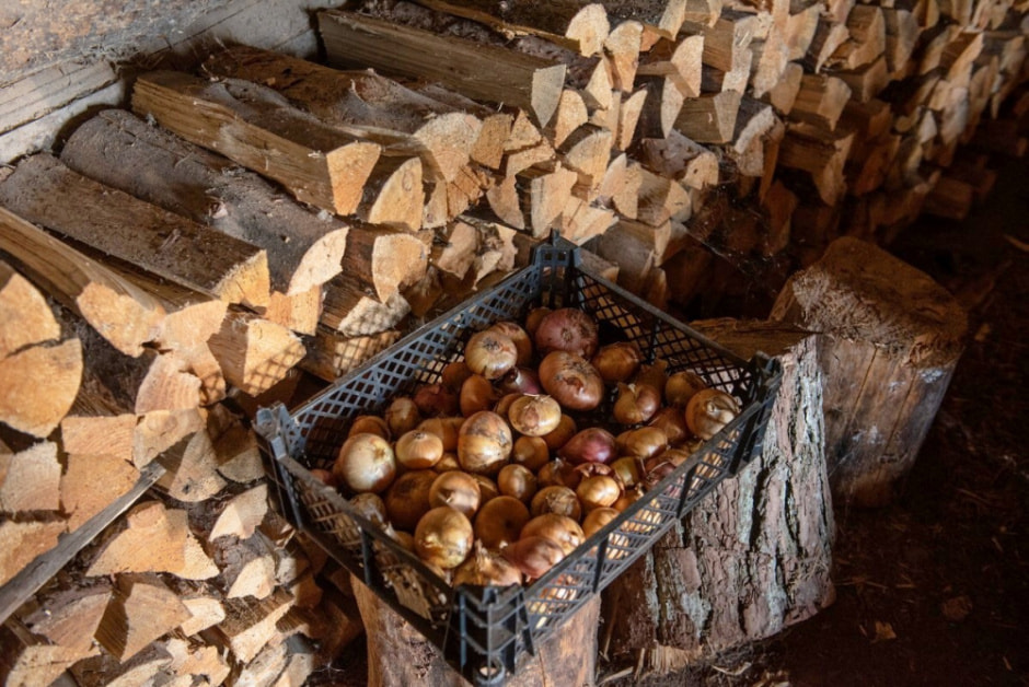 Парень ищет жену в деревне 17.jpg