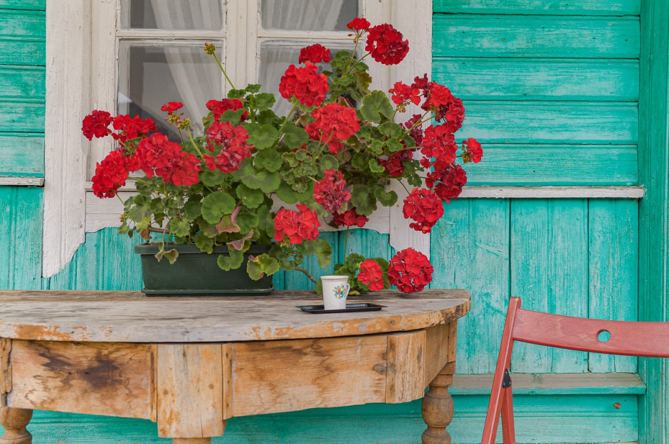 Репетитор в деревне 7.jpg