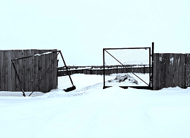 “Создаёт угрозу распространения заразных болезней” – Лиса на Витебщине ела трупы коров