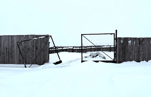 “Создаёт угрозу распространения заразных болезней” – Лиса на Витебщине ела трупы коров