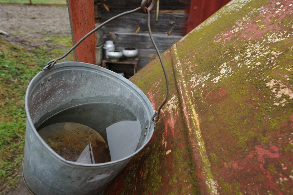 Что нужно успеть сделать в августе с деревне 8.jpg