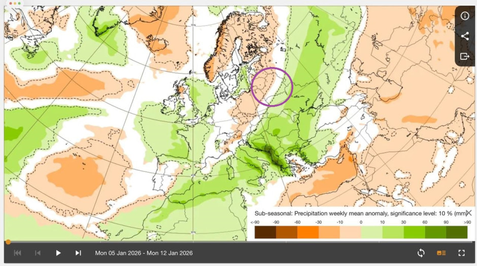 Аномалии по количеству осадков с 5 по 12 января