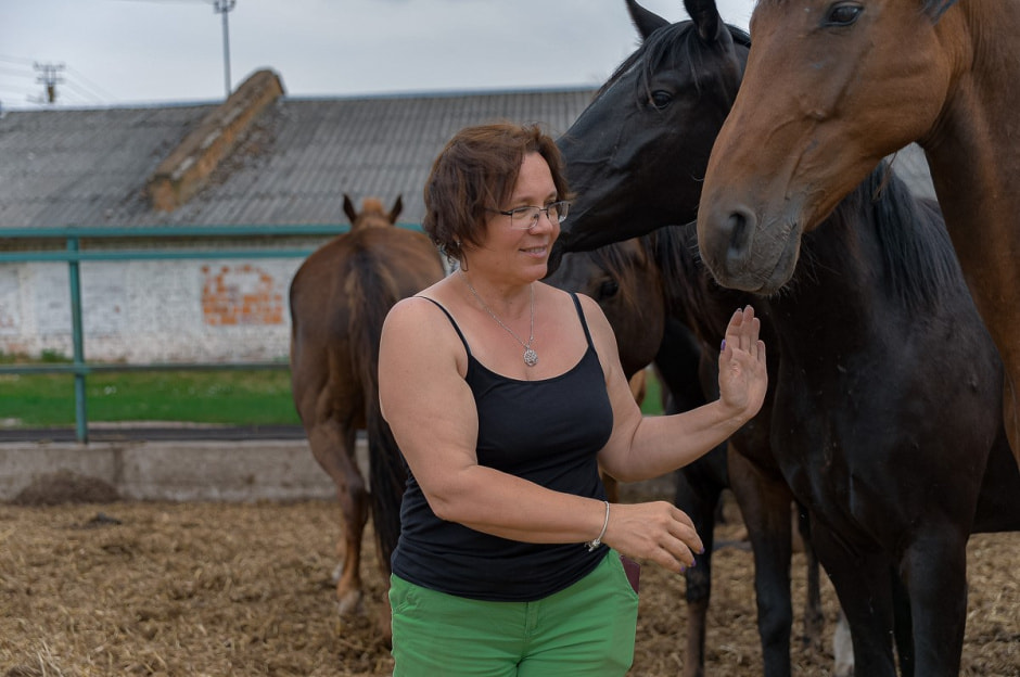Лошади в Столинском районе 29.jpg
