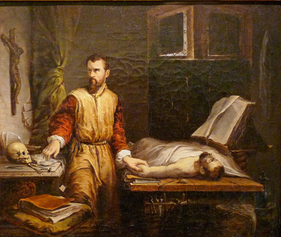 Чем наши предки лечили раны 9.jpg