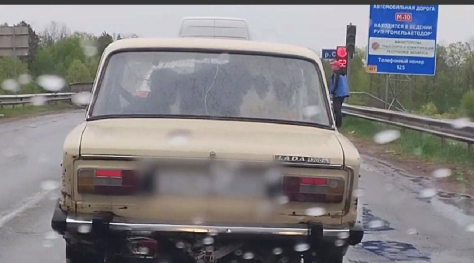 Корова в Жигулях фото.jpg