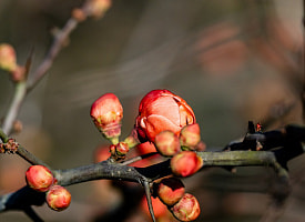 Станет ощутимо теплее – какой будет погода в Беларуси 13 апреля