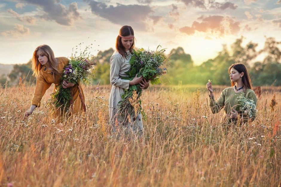 Травяные сборы в Беларуси 4.jpg