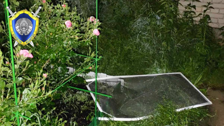 Оконная сетка.jpg