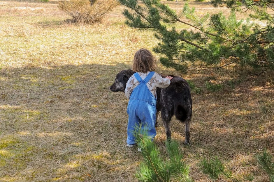 Деревня Чабахи 3.jpg