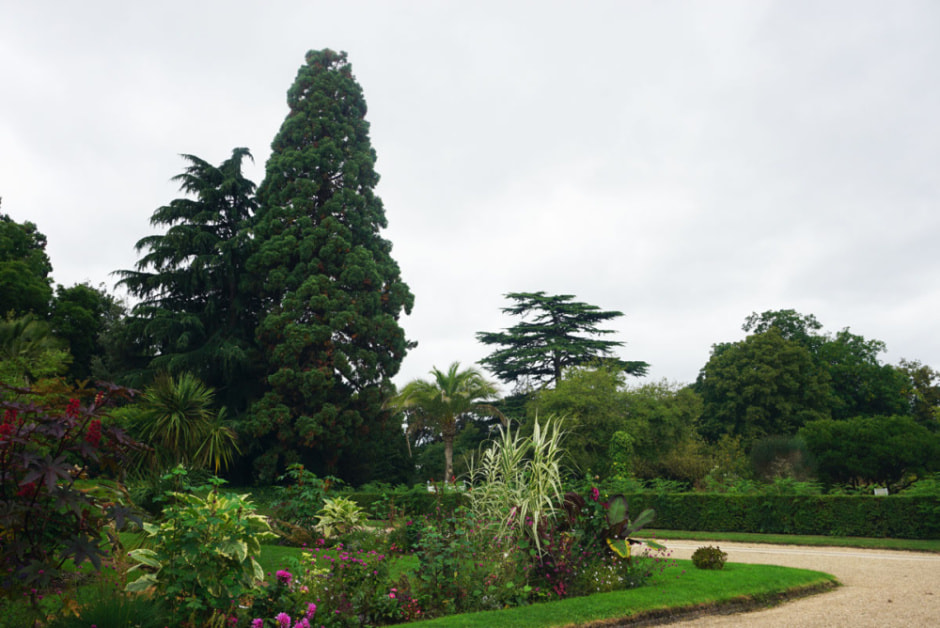 rouen49.jpg rouen49.jpg