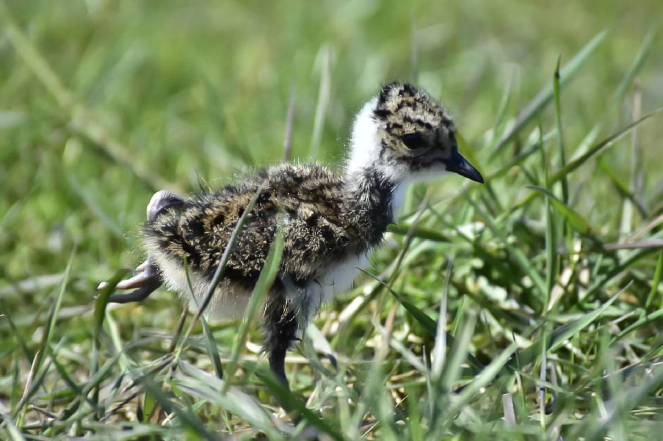 Фотограф-врач Инна Субботина 4.jpeg