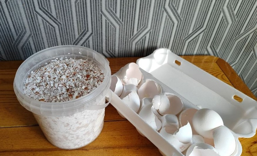 Яичная скорлупа