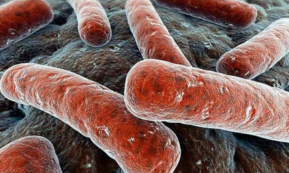 Роберт Кох2.png