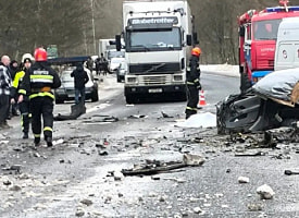Под Речицей Renault выехал на встречную и врезался в грузовик – погибли мать и ребенок