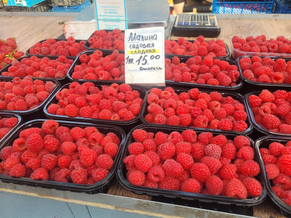 Малина на Комаровке