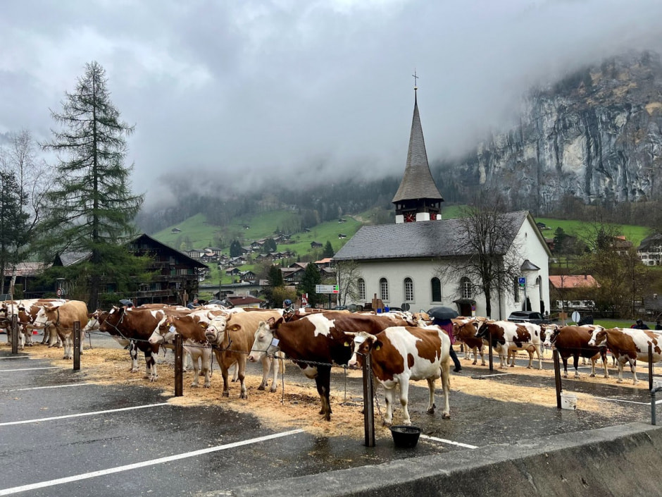 Путешествие по Баварии и Швейцарии 20.jpg