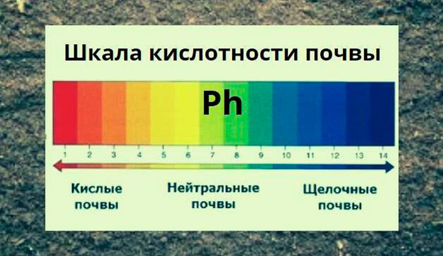 кислотность почвы2.jpg