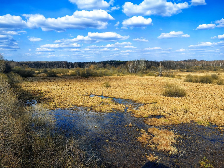 36-Пойменный луг в урочище Залазы.jpg