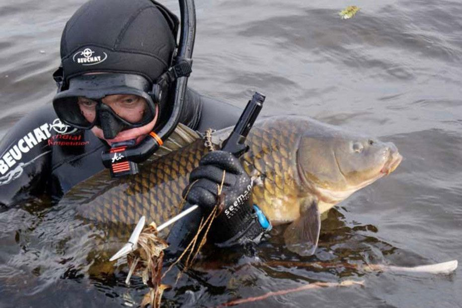 подводный спорт1.jpg