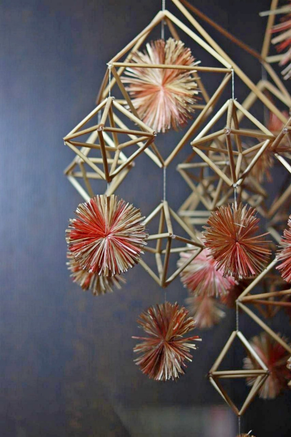 13-1-Соломенный паук.jpg