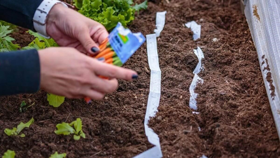 Когда что садить на даче 2.jpg