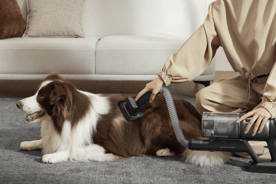 Новинки Dreame_7.png