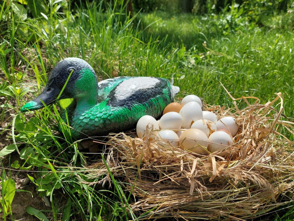 Дом-музей в Рухово 7.jpg