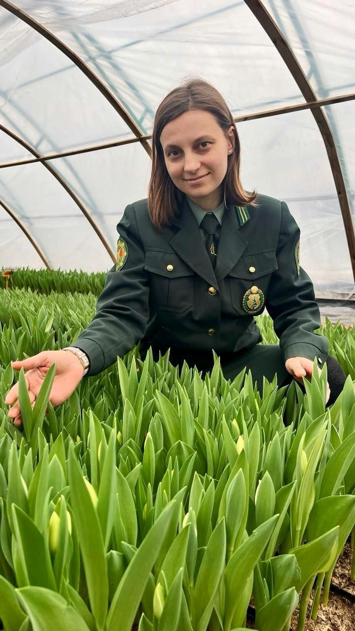 тюльпаны петриков.jpg