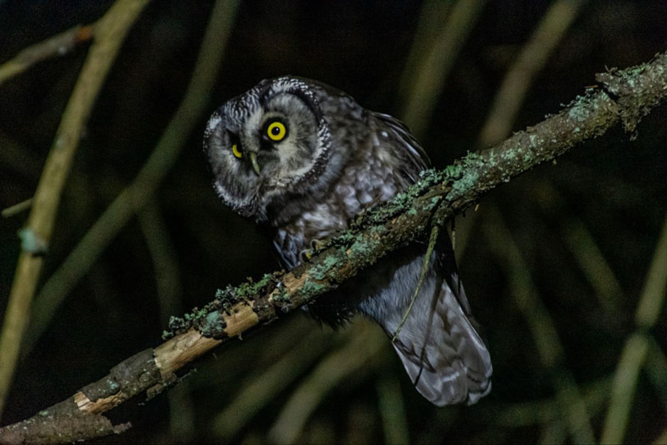 Фотограф-врач Инна Субботина 6.jpeg