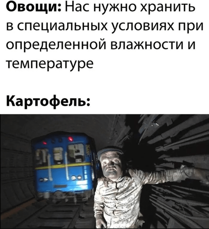 картофель мем хранение