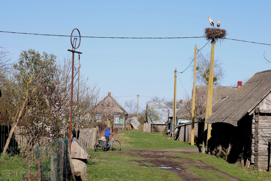 Аисты в деревне Малешев 25.jpg