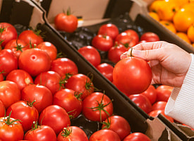 Скидки для пенсионеров и многодетных продлили в Беларуси до лета 2026 года